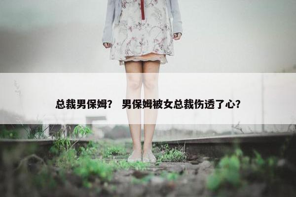 总裁男保姆？ 男保姆被女总裁伤透了心？