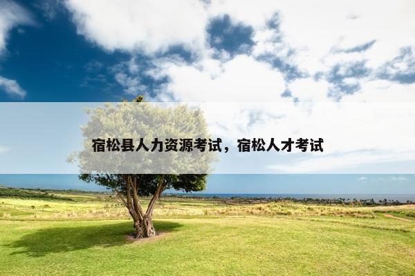 宿松县人力资源考试，宿松人才考试