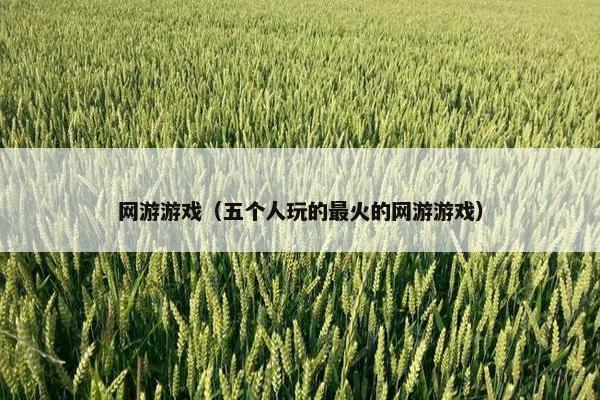 网游游戏（五个人玩的最火的网游游戏）
