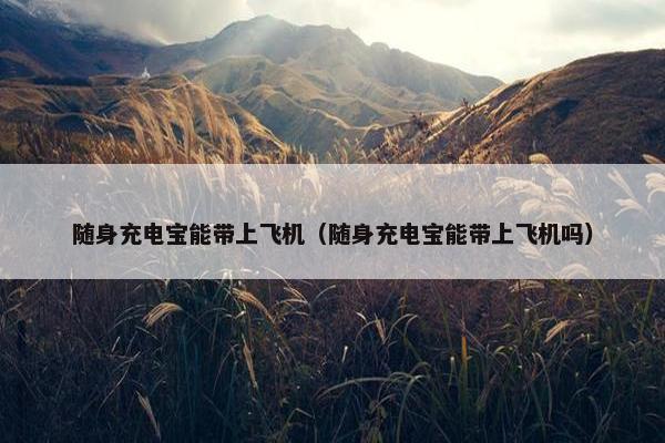随身充电宝能带上飞机（随身充电宝能带上飞机吗）