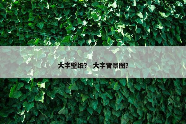 大字壁纸？ 大字背景图？