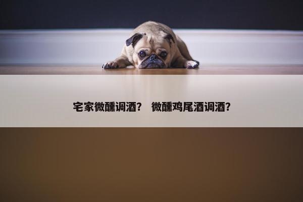 宅家微醺调酒？ 微醺鸡尾酒调酒？