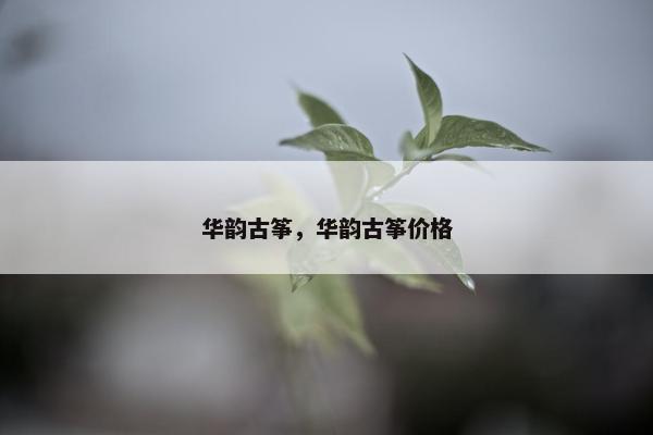 华韵古筝，华韵古筝价格