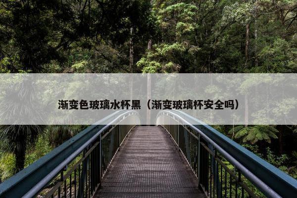 渐变色玻璃水杯黑（渐变玻璃杯安全吗）