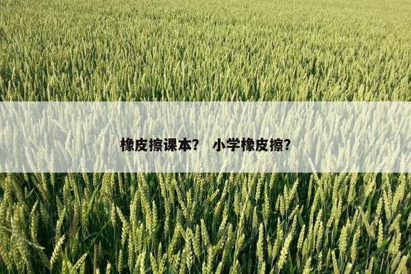 橡皮擦课本？ 小学橡皮擦？