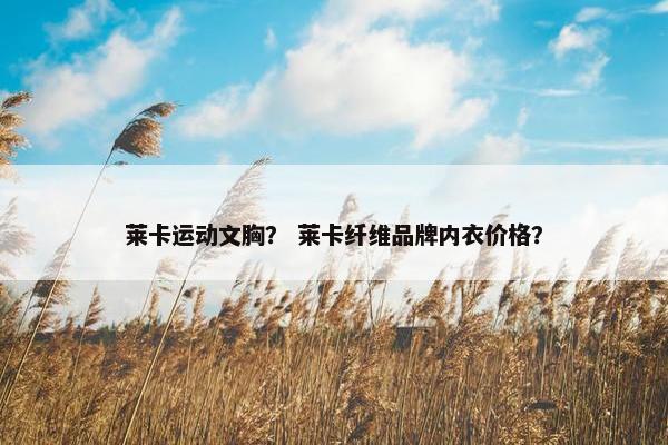 莱卡运动文胸？ 莱卡纤维品牌内衣价格？