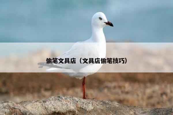 偷笔文具店（文具店偷笔技巧）