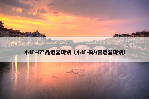 小红书产品运营规划（小红书内容运营规划）