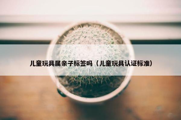 儿童玩具属亲子标签吗（儿童玩具认证标准）