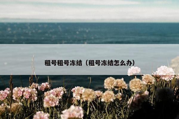 租号租号冻结（租号冻结怎么办）