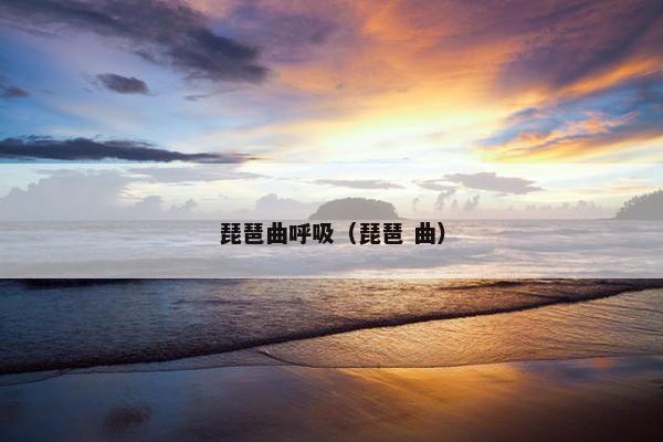 琵琶曲呼吸（琵琶 曲）