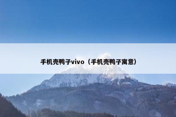 手机壳鸭子vivo（手机壳鸭子寓意）