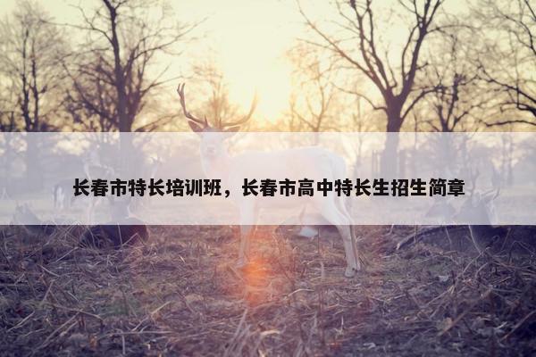 长春市特长培训班，长春市高中特长生招生简章