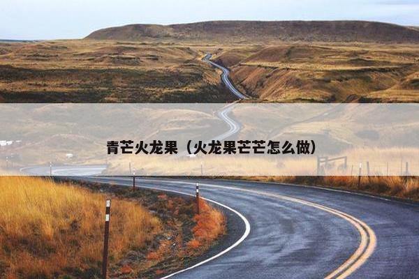 青芒火龙果（火龙果芒芒怎么做）