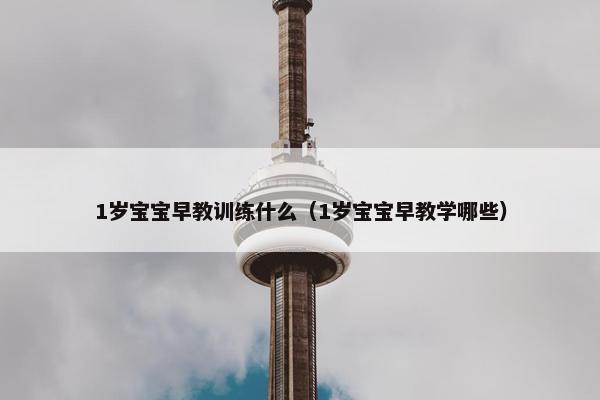 1岁宝宝早教训练什么（1岁宝宝早教学哪些）