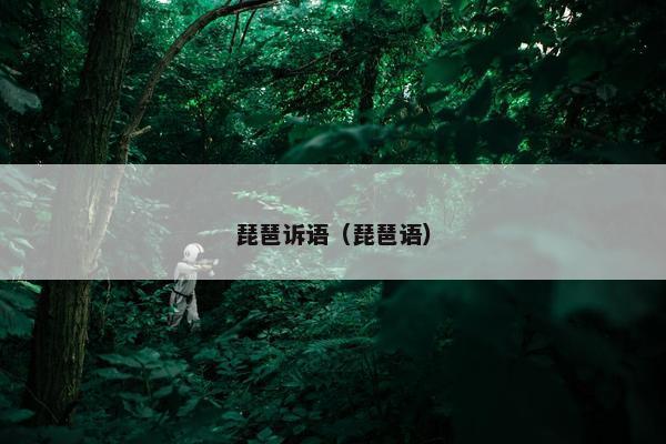 琵琶诉语（琵琶语）