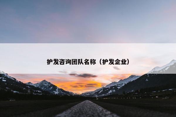 护发咨询团队名称（护发企业）