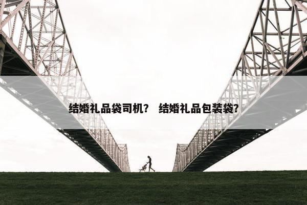结婚礼品袋司机？ 结婚礼品包装袋？