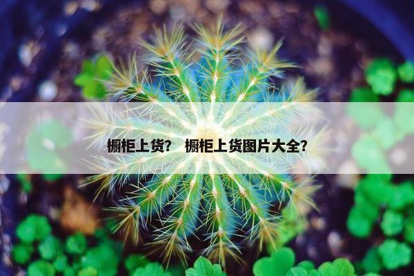 橱柜上货？ 橱柜上货图片大全？