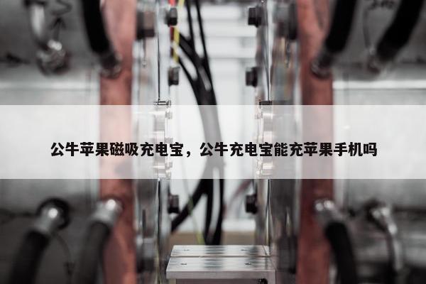 公牛苹果磁吸充电宝，公牛充电宝能充苹果手机吗