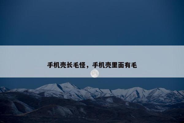 手机壳长毛怪，手机壳里面有毛