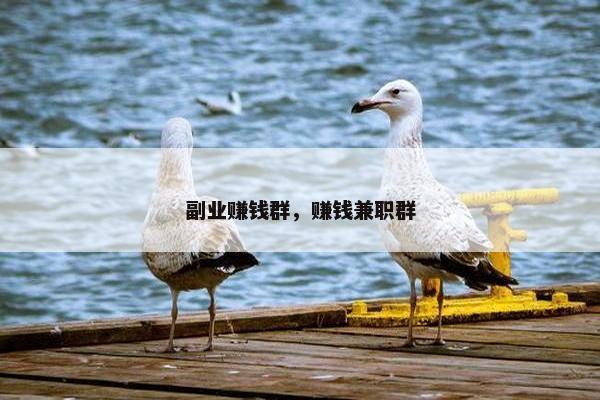 副业赚钱群，赚钱兼职群