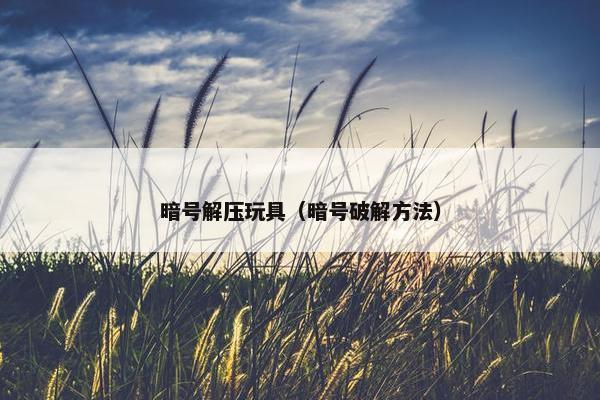 暗号解压玩具（暗号破解方法）