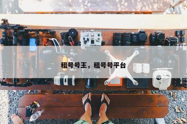 租号号王，租号号平台