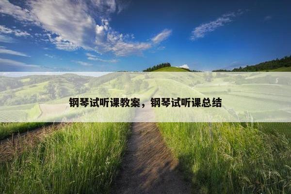 钢琴试听课教案，钢琴试听课总结