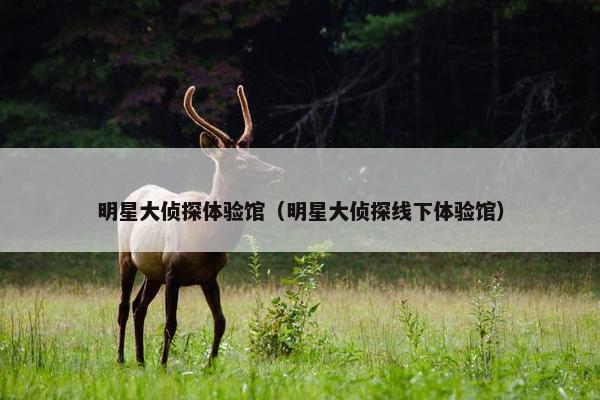 明星大侦探体验馆（明星大侦探线下体验馆）