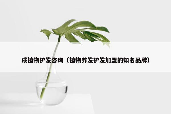成植物护发咨询（植物养发护发加盟的知名品牌）