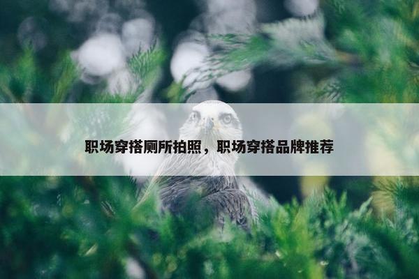 职场穿搭厕所拍照，职场穿搭品牌推荐