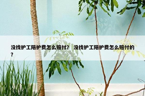 没找护工陪护费怎么赔付？ 没找护工陪护费怎么赔付的？