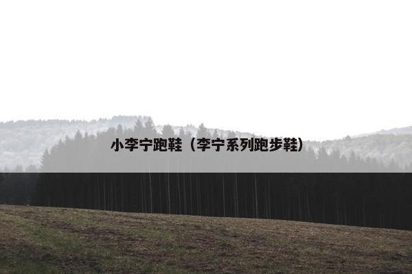 小李宁跑鞋（李宁系列跑步鞋）