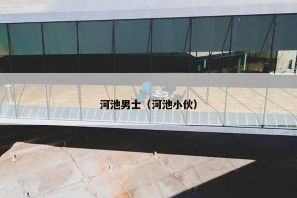 河池男士（河池小伙）