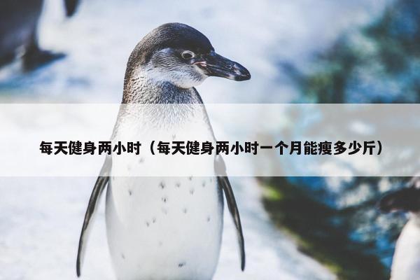 每天健身两小时（每天健身两小时一个月能瘦多少斤）