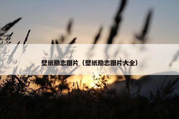 壁纸励志图片（壁纸励志图片大全）