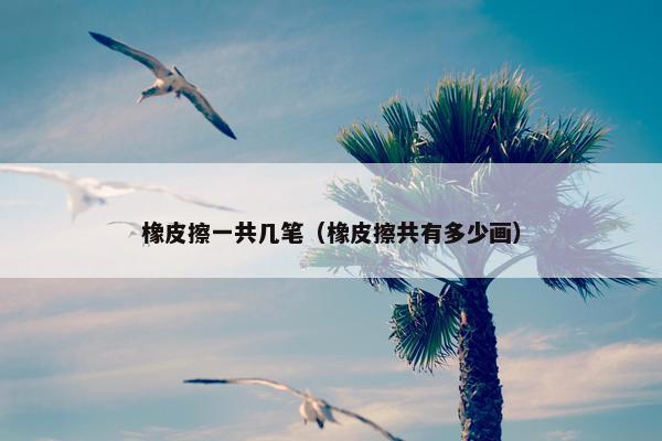 橡皮擦一共几笔（橡皮擦共有多少画）