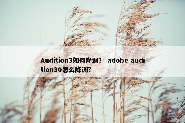 Audition3如何降调？ adobe audition30怎么降调？