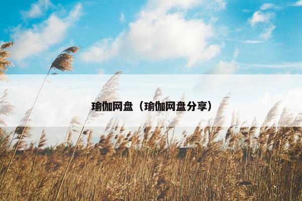 瑜伽网盘（瑜伽网盘分享）