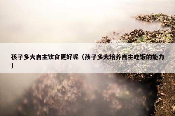 孩子多大自主饮食更好呢（孩子多大培养自主吃饭的能力）