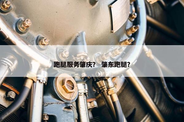 跑腿服务肇庆？ 肇东跑腿？