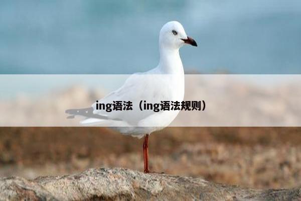 ing语法（ing语法规则）