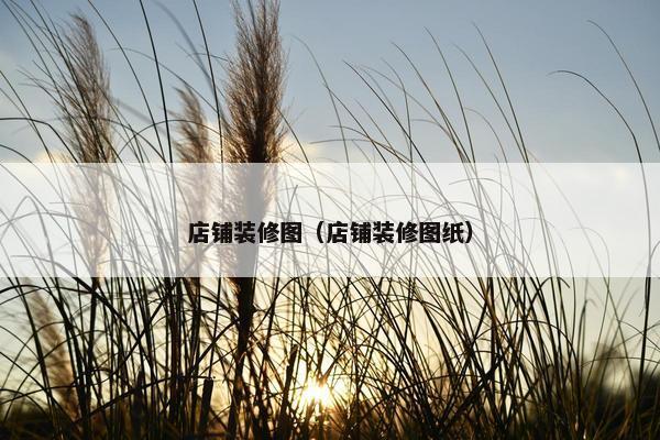 店铺装修图（店铺装修图纸）