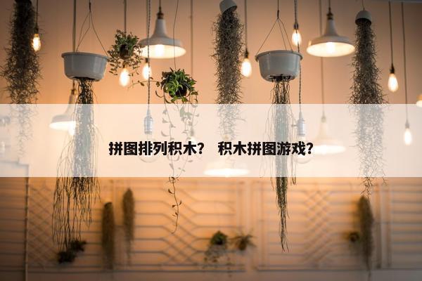 拼图排列积木？ 积木拼图游戏？