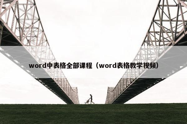 word中表格全部课程（word表格教学视频）