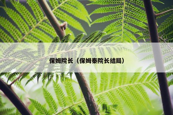 保姆院长（保姆秦院长结局）