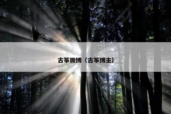 古筝微博（古筝博主）