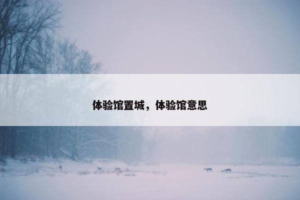 体验馆置城，体验馆意思