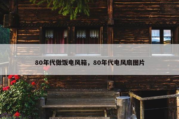 80年代做饭电风箱，80年代电风扇图片
